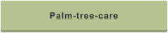 Palm-tree-care